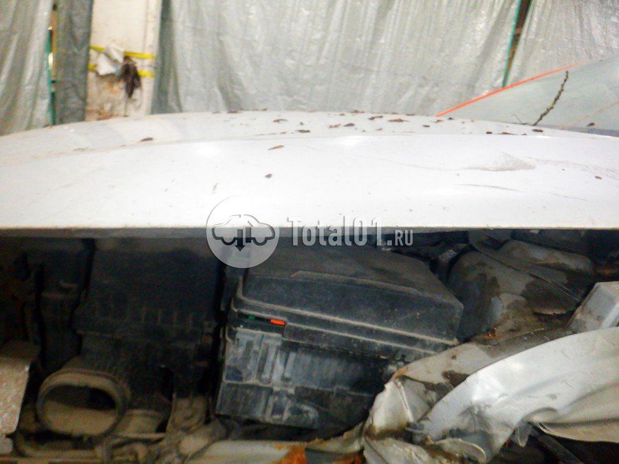 Фото KIA Rio 294