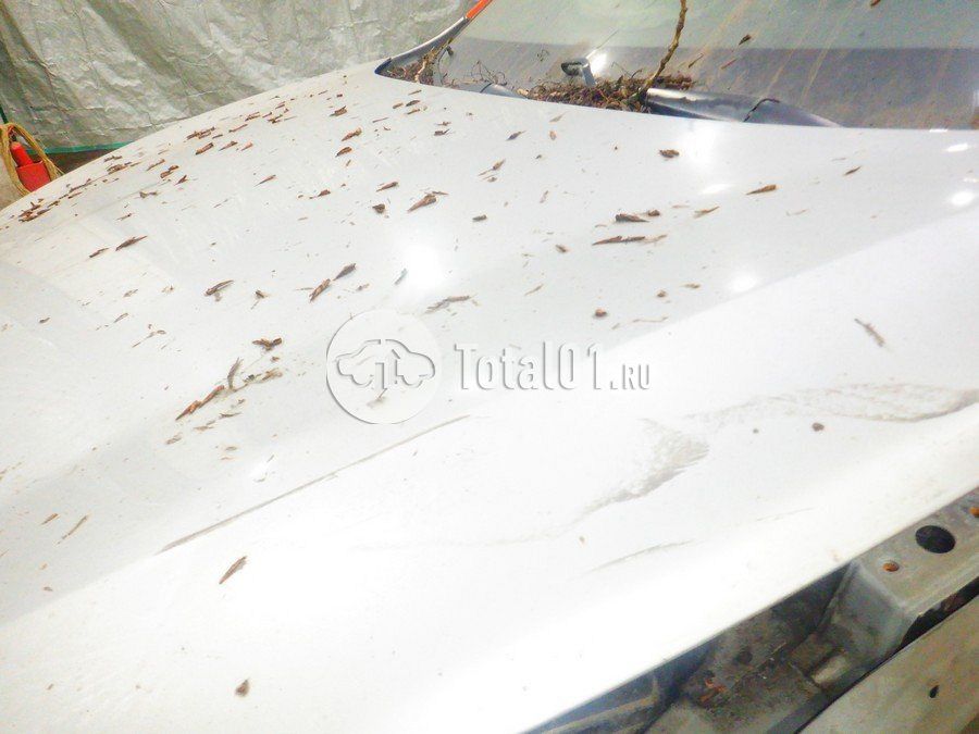 Фото KIA Rio 296