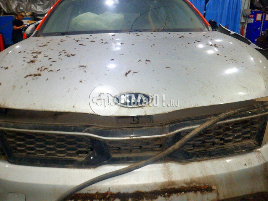 Фото KIA Rio 304