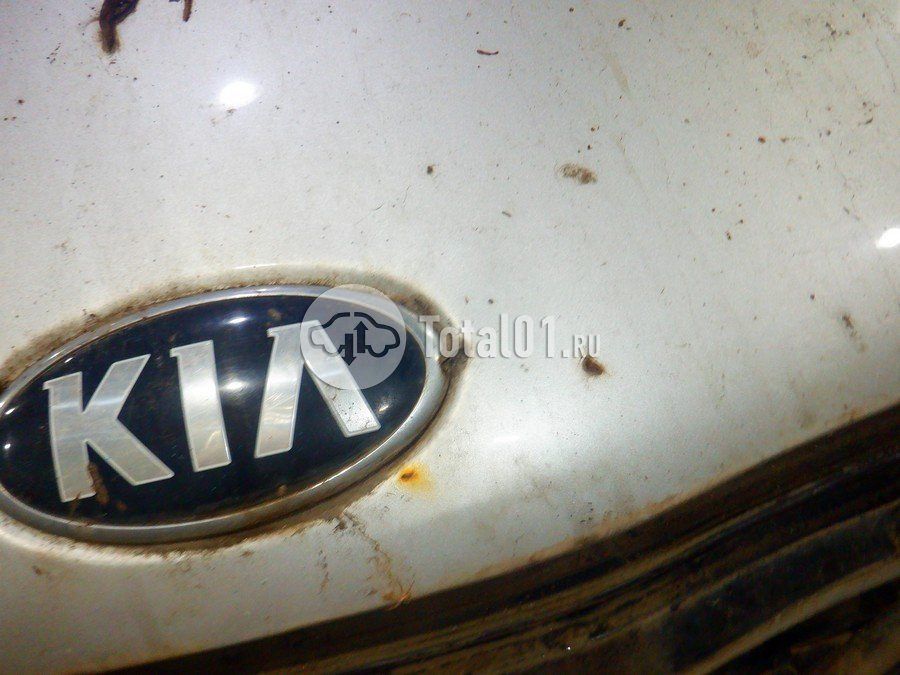 Фото KIA Rio 310