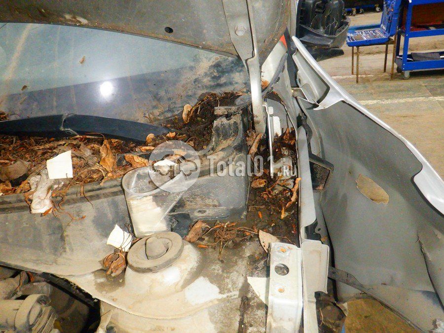 Фото KIA Rio 318