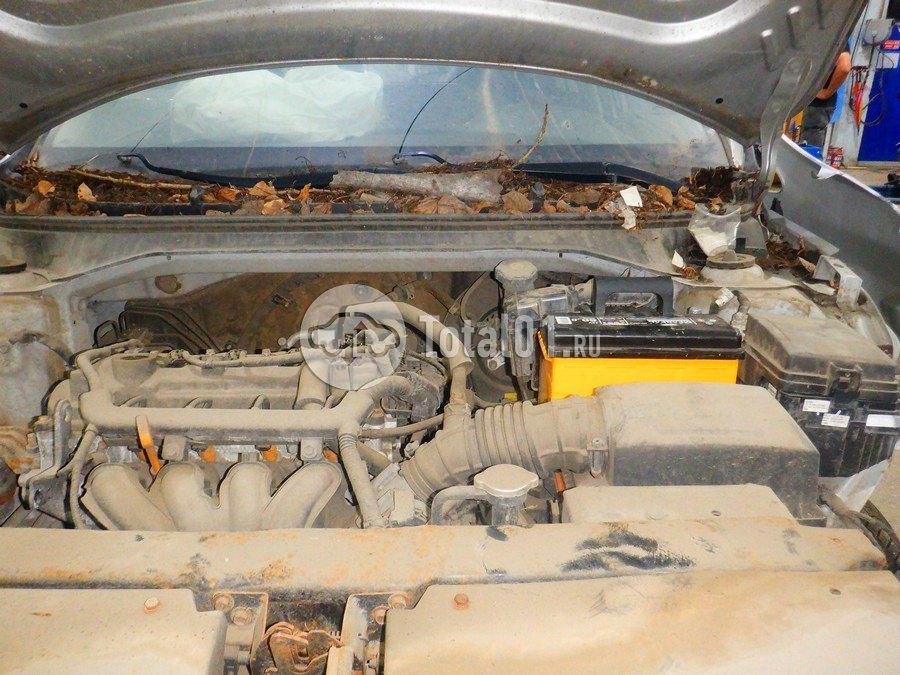 Фото KIA Rio 344