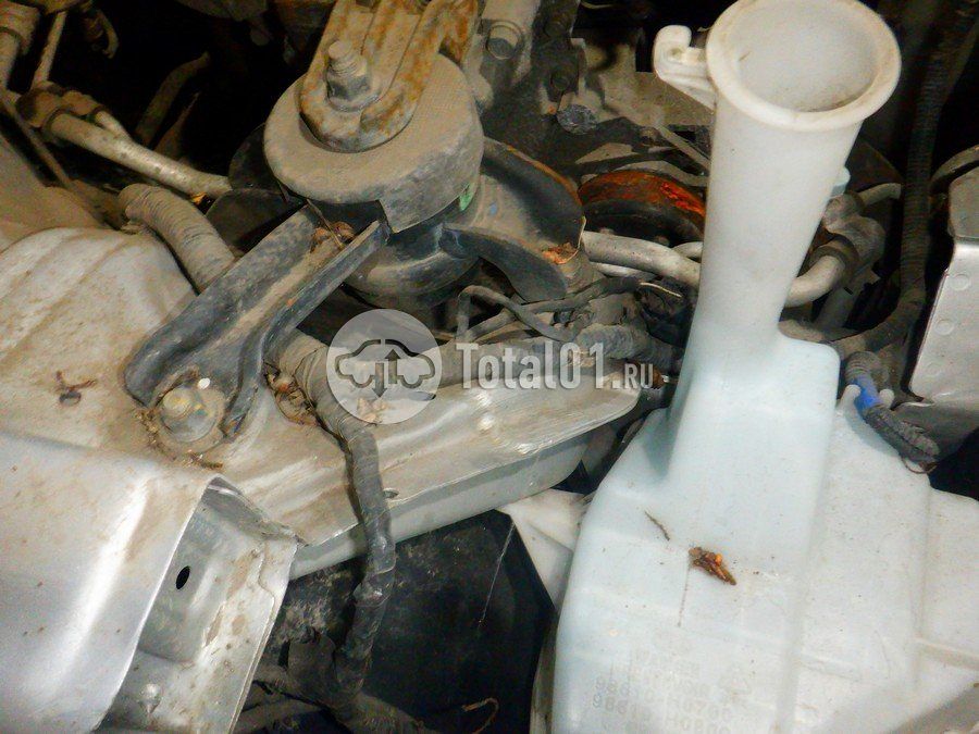 Фото KIA Rio 352