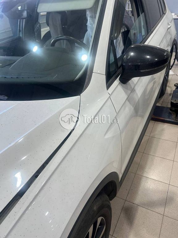 Фото Volkswagen Tiguan 252