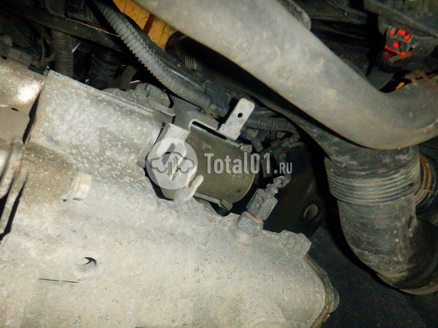Фото Volkswagen Golf Plus 324
