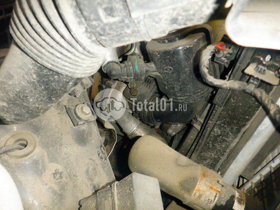 Фото GWM Tank 300 316
