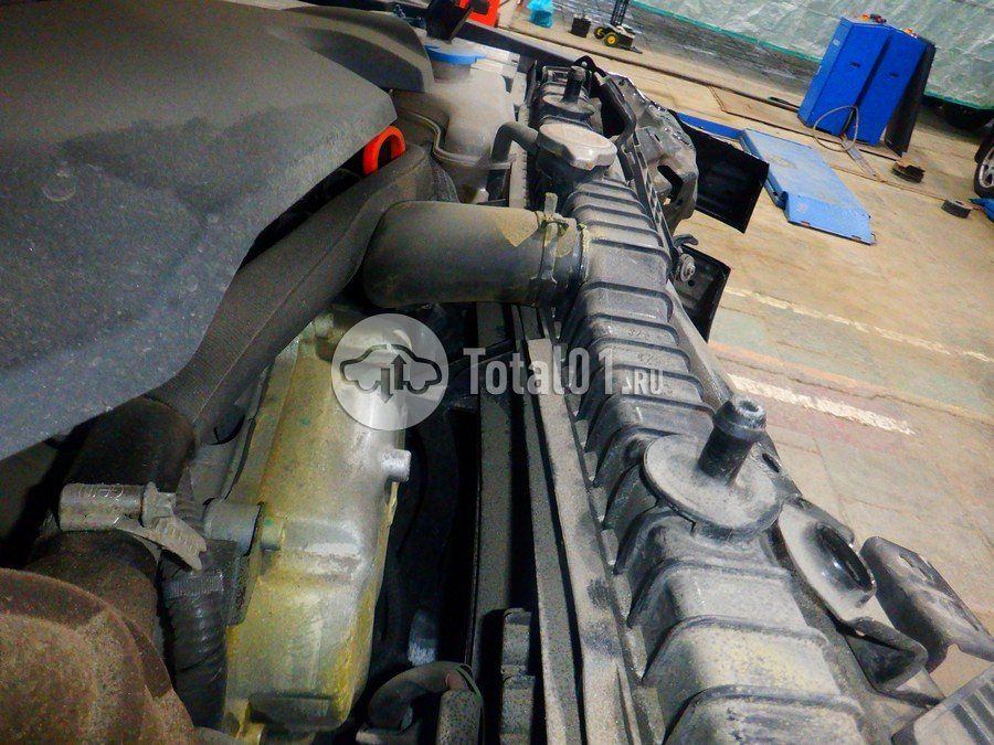 Фото GWM Tank 300 320