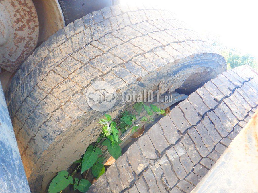 Фото MAN TGX 176