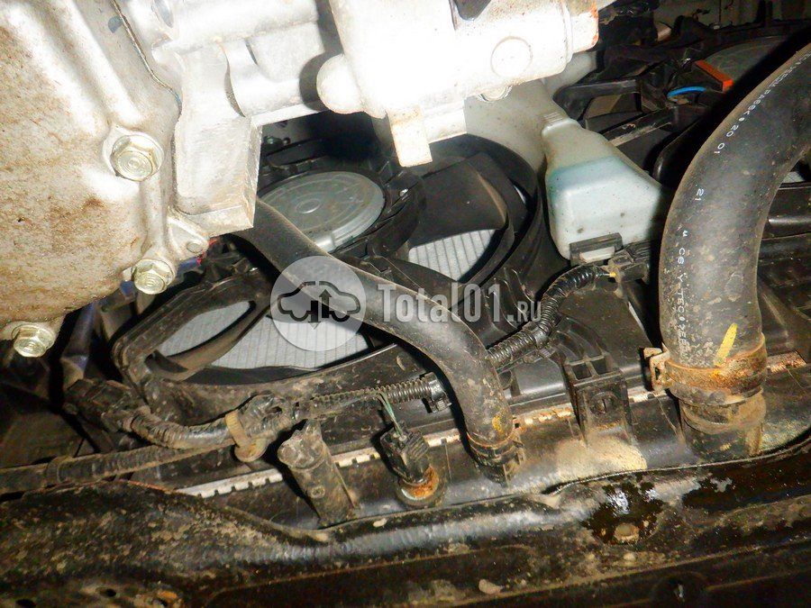 Фото Honda Freed 302