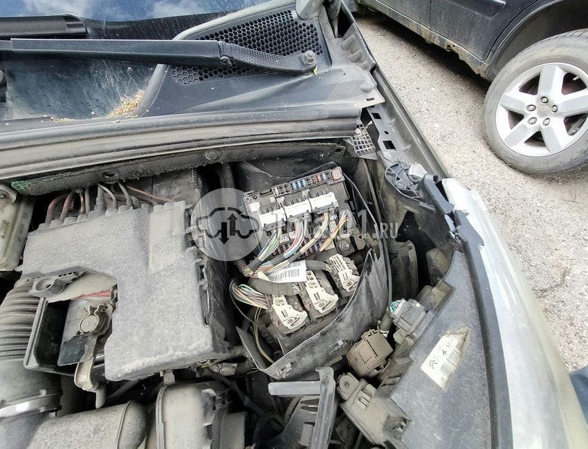 Фото Citroen C4 98