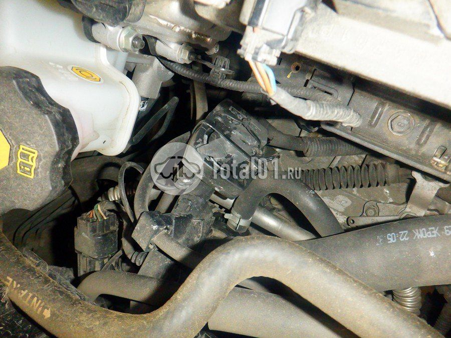 Фото KIA Picanto 224