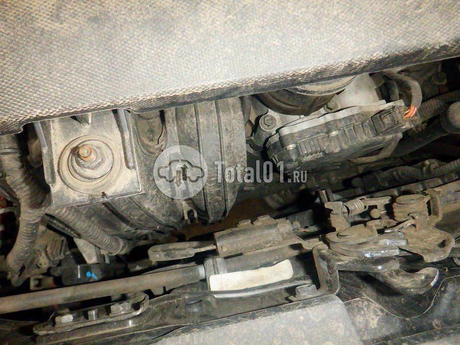 Фото KIA Picanto 232