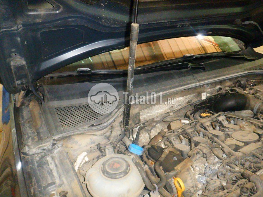 Фото Volkswagen Passat 234