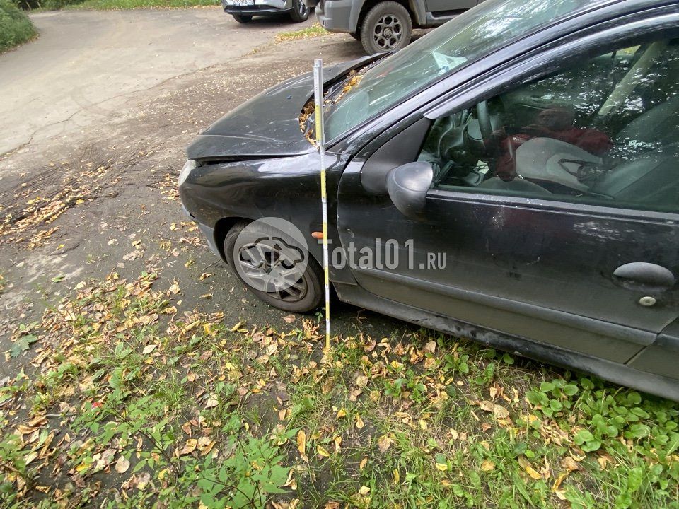 Фото Peugeot 206 4