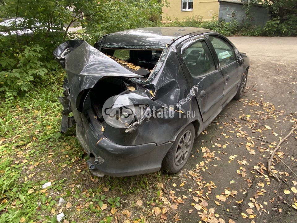 Фото Peugeot 206 10