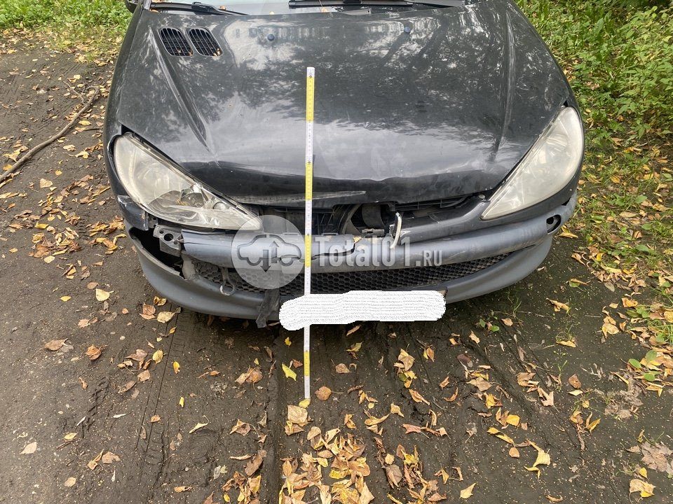 Фото Peugeot 206 12