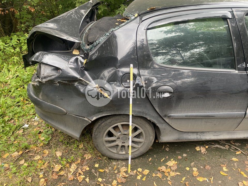 Фото Peugeot 206 26