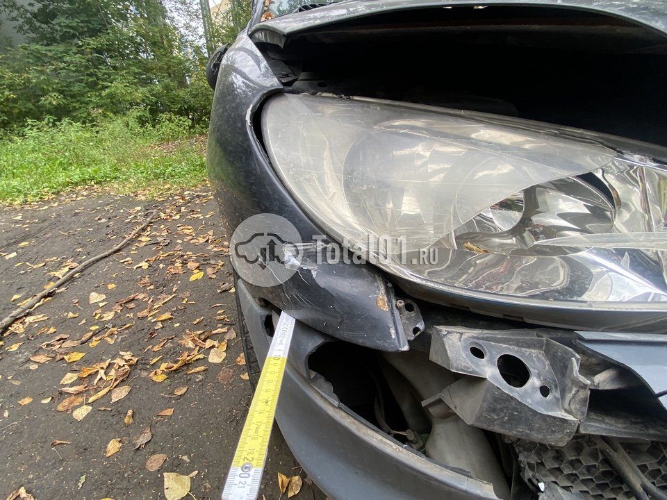 Фото Peugeot 206 48