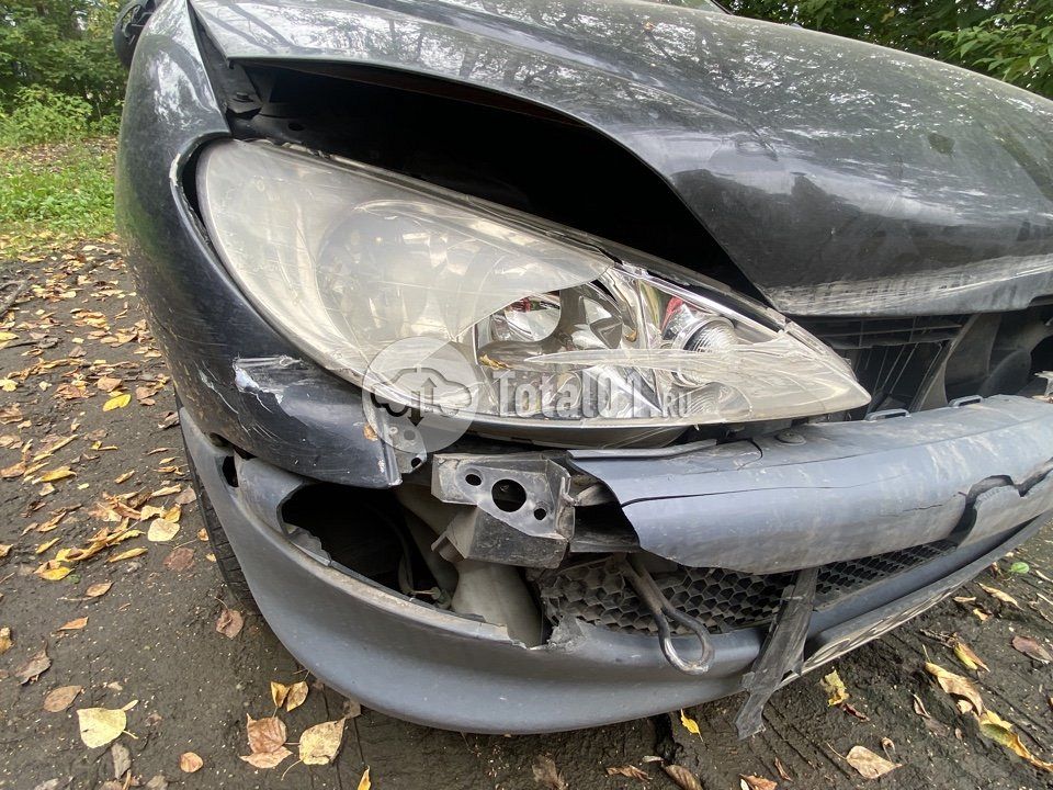 Фото Peugeot 206 64