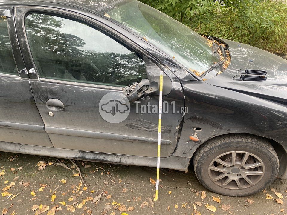 Фото Peugeot 206 72