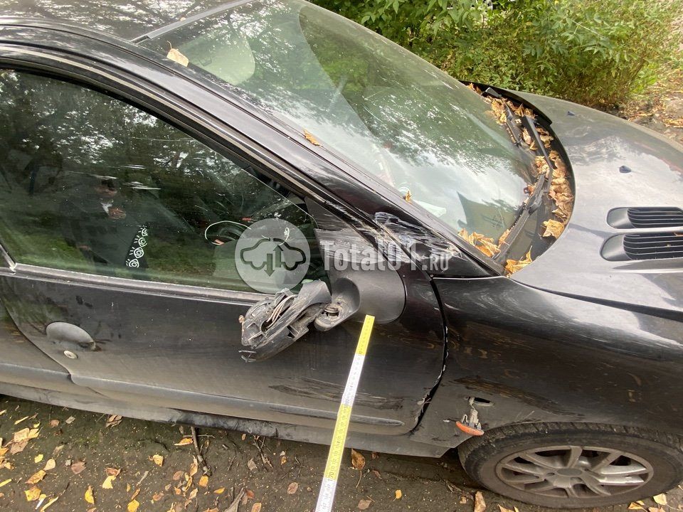 Фото Peugeot 206 112