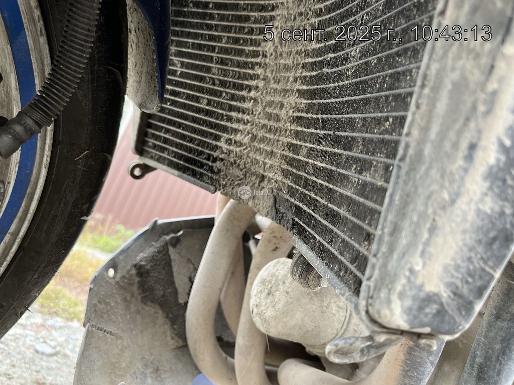 Фото Kawasaki отсутствует 100