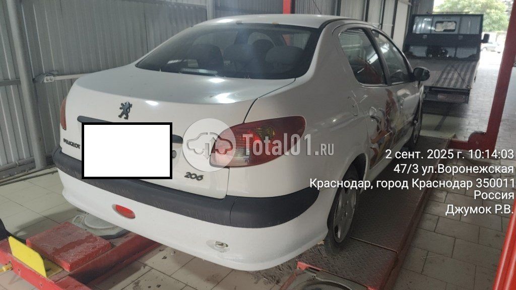 Фото Peugeot 206 10