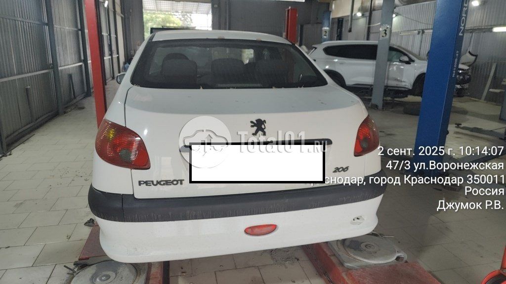 Фото Peugeot 206 12