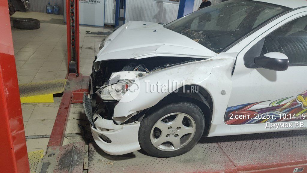 Фото Peugeot 206 18