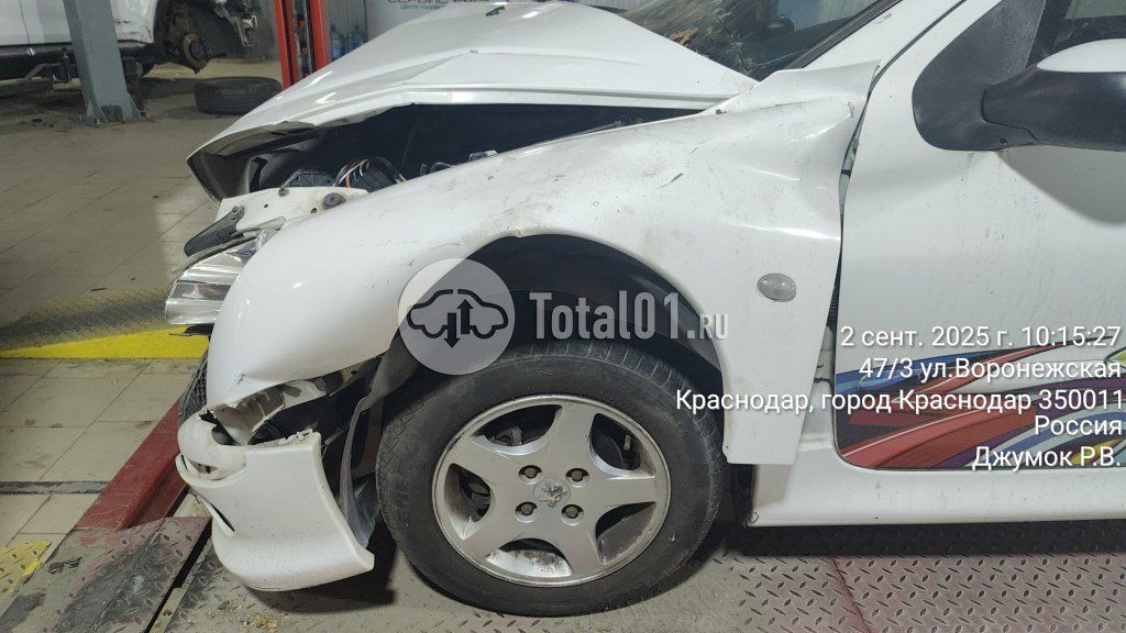 Фото Peugeot 206 26