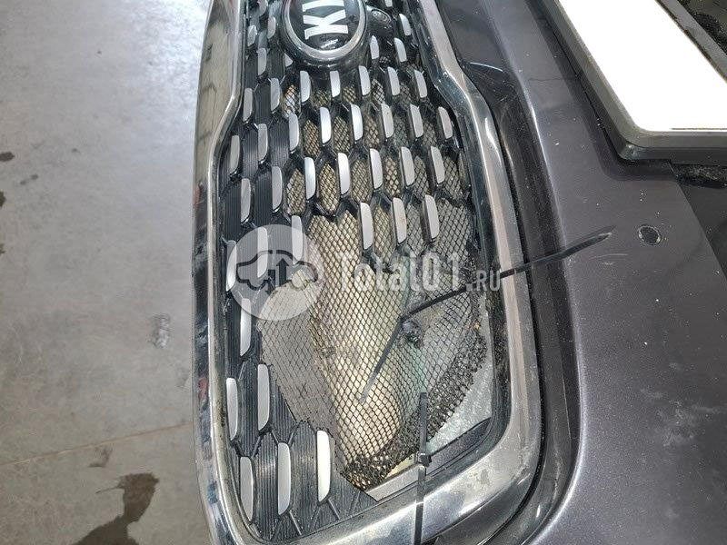 Фото KIA Sorento 382