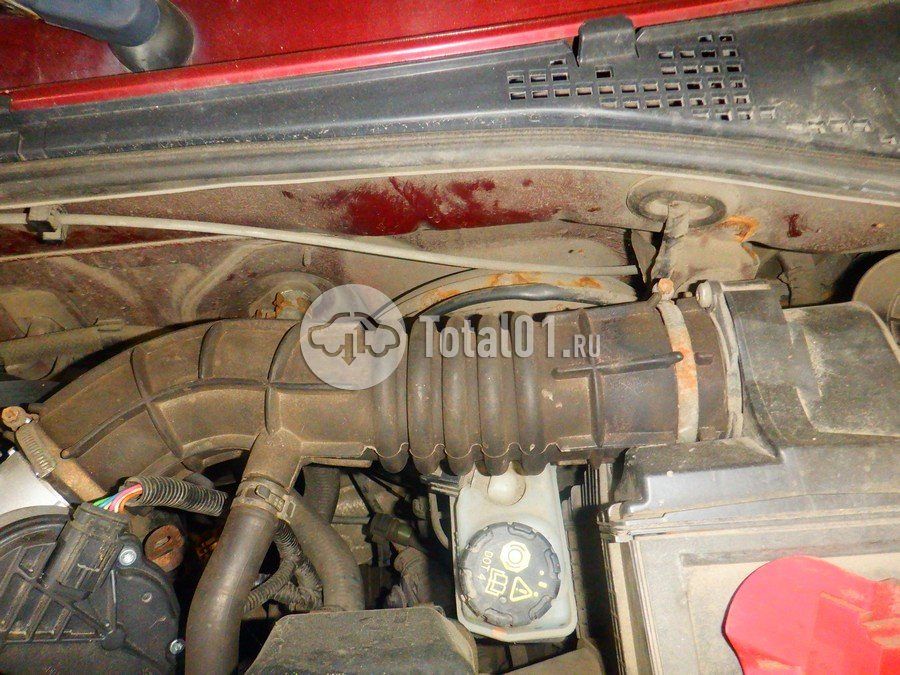 Фото ВАЗ (LADA) Largus 262