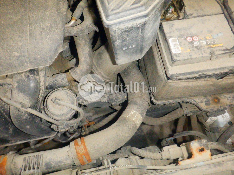 Фото KIA Sportage 218