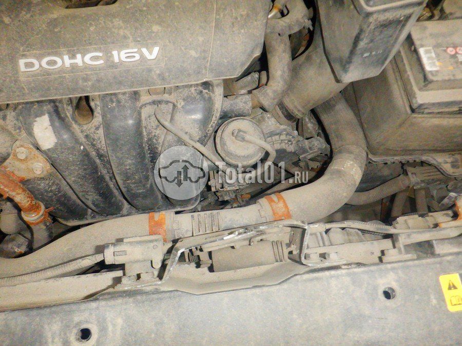 Фото KIA Sportage 220