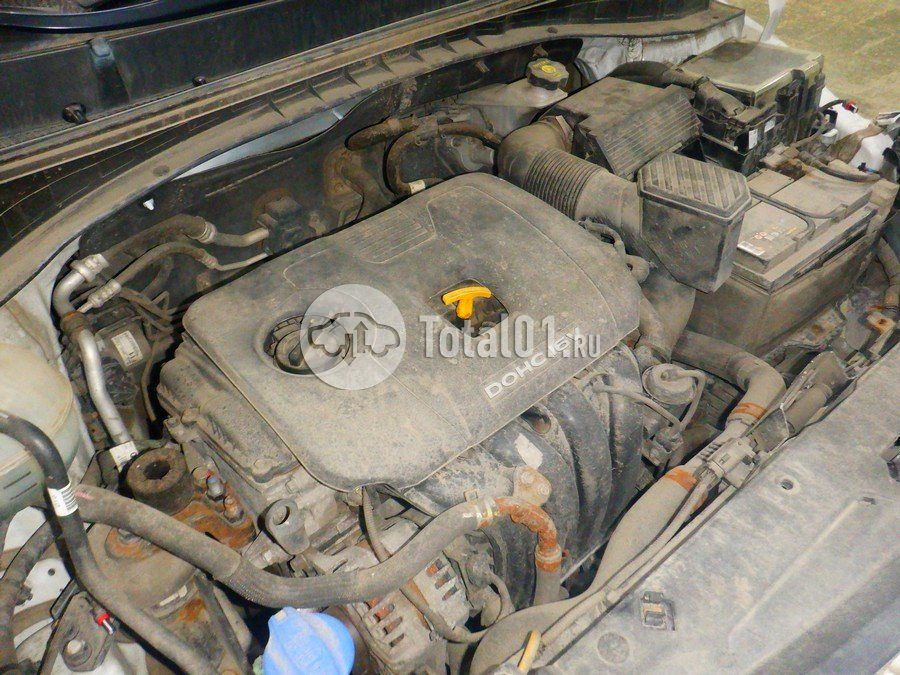 Фото KIA Sportage 244