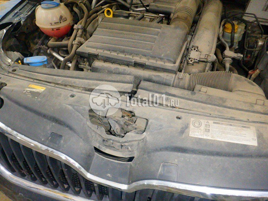 Фото Skoda Rapid 234