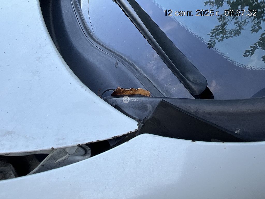 Фото Nissan Bassara 278