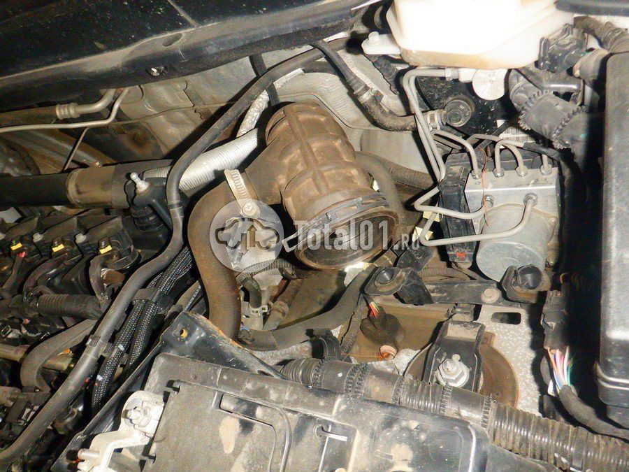 Фото Haval M6 238