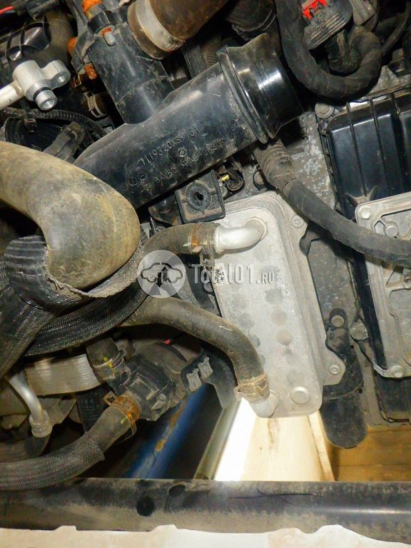 Фото Haval M6 264