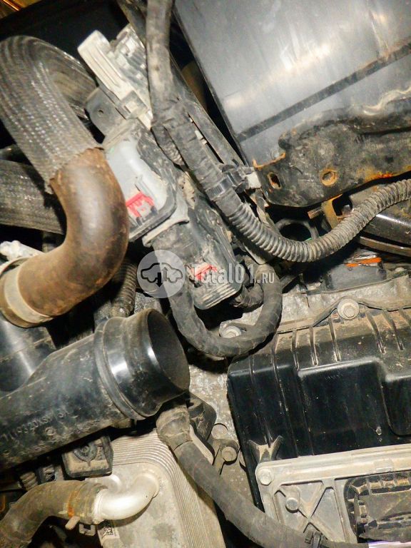 Фото Haval M6 266