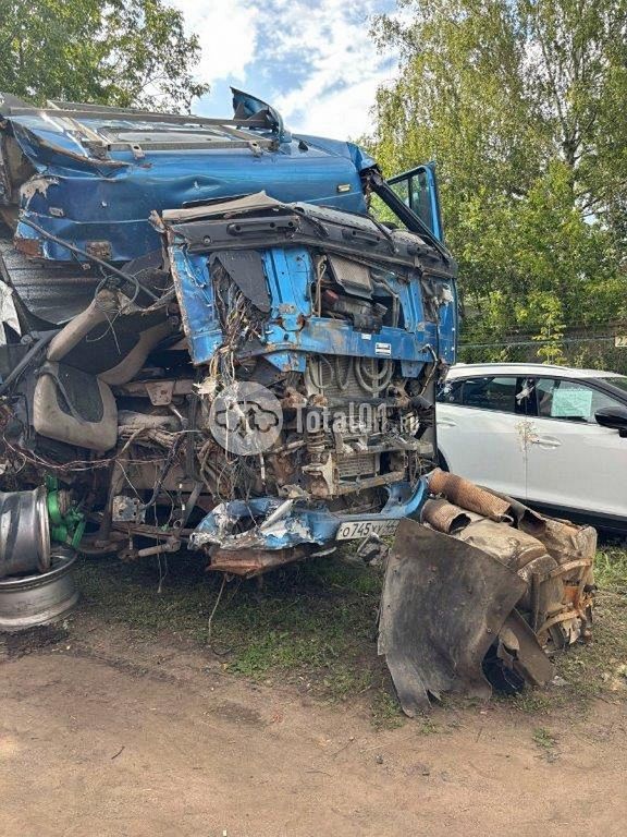 Фото DAF FT XF105 460 234