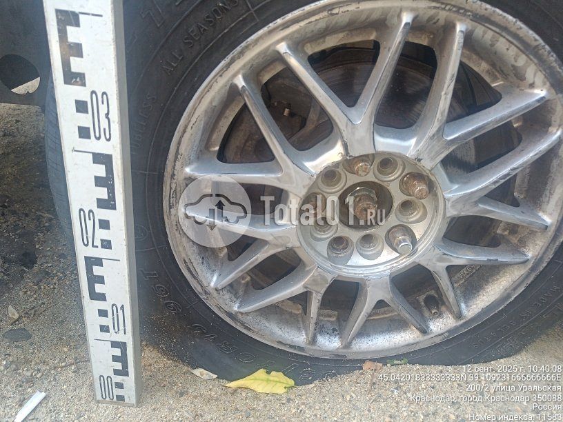 Фото Nissan Presage 14