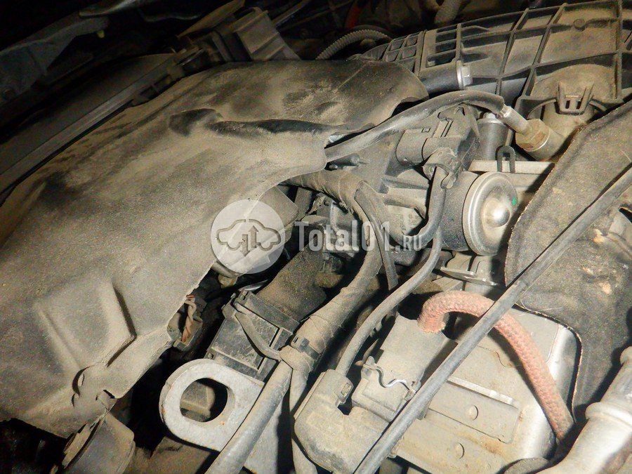 Фото BMW X6 334