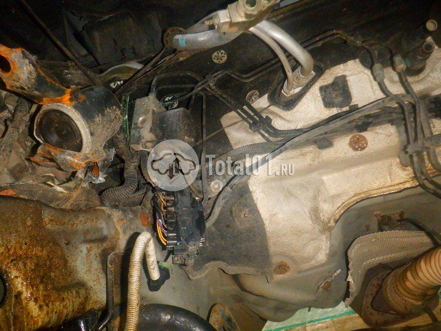 Фото Ford EcoSport 236