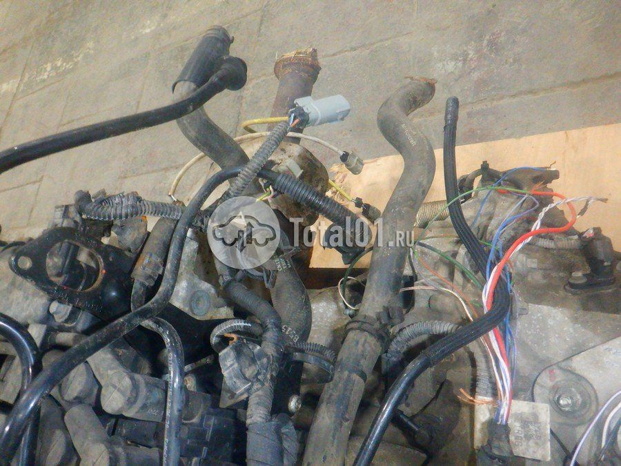 Фото Ford EcoSport 302
