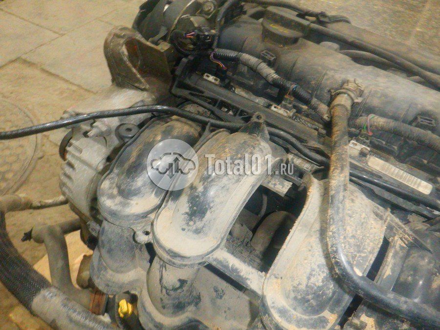 Фото Ford EcoSport 310