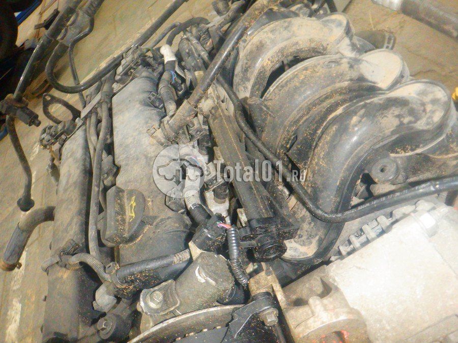 Фото Ford EcoSport 344