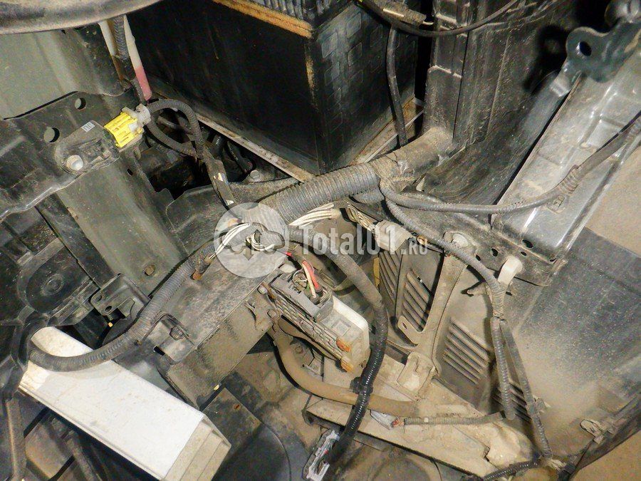 Фото Lexus RX 254