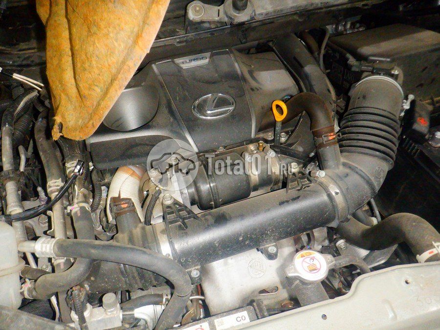 Фото Lexus RX 288