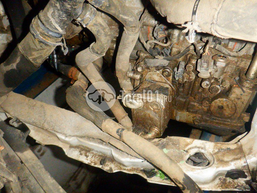 Фото OMODA C5 208